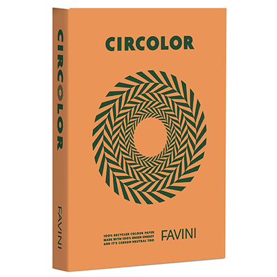 CARTA+FOT%2E+COLORATA+FORTE+CIRCOLOR+A4+GR%2E80+FG%2E500+PUMPKIN+ARANC%3Cbr%3E%3Ci%3EFAVINI%3C%2Fi%3E