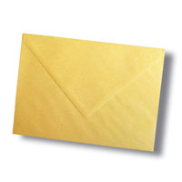 BUSTA+GIALLA+18X24%2F80+GIALLO+POSTA+PZ%2E25%3Cbr%3E%3Ci%3EPIGNA%3C%2Fi%3E