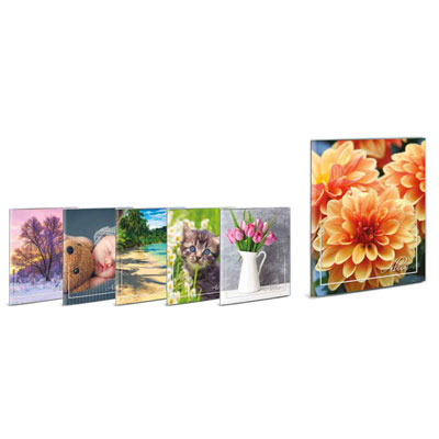 ALBUM+24+FOTO+FLESSIBILE+17X21+PER+FOTO+14%2C5X20%3Cbr%3E%3Ci%3ELEBEZ%3C%2Fi%3E