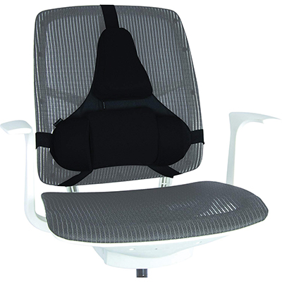 SUPPORTO+LOMBARE+FELLOWES+PROFESSIONAL+SERIES%3Cbr%3E%3Ci%3EFELLOWES%3C%2Fi%3E