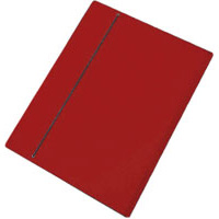 CARTELLINA+35X50+CON+ELASTICO+ROSSO%3Cbr%3E%3Ci%3ECARTOTECNICA+DEL+GARDA%3C%2Fi%3E