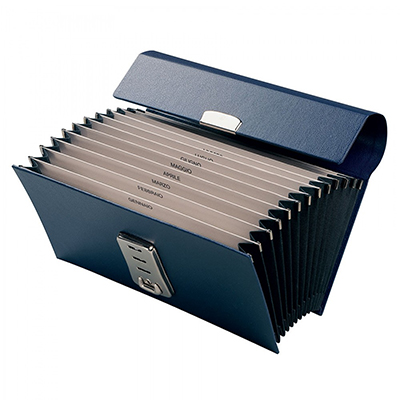 PORTADOCUMENTI+MENSILE+28X13+A+SOFFIETTO+12+SCOMPARTI+BLU%3Cbr%3E%3Ci%3ECARTOTECNICA+FRASCHINI%3C%2Fi%3E