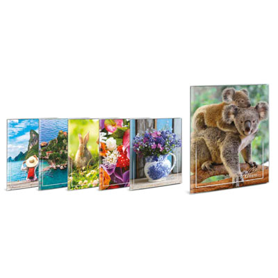 ALBUM+80+FOTO+13%2C5X19+FLESSIBILE+CM+22X28%2C5+ASS%2E6+SOGG%2E%3Cbr%3E%3Ci%3ELEBEZ%3C%2Fi%3E