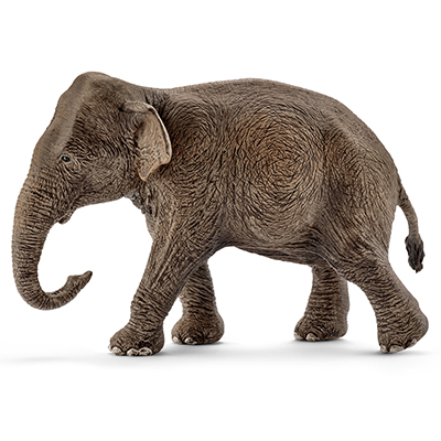 ANIMALE+SCHLEICH+FEMMINA+DI+ELEFANTE+ASIATICO%3Cbr%3E%3Ci%3ESCHLEICH%3C%2Fi%3E