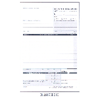 BLOCCO+D%2ED%2ET%2E+DATAU+FG%2E33+3+COPIE+CARTA+CHIMICA+14%2C8+X+21%2C5%3Cbr%3E%3Ci%3EDATA+UFFICIO%3C%2Fi%3E