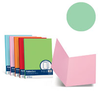 CARTELLINA+ATTI+FAVINI+PZ%2E50+VERDINO%3Cbr%3E%3Ci%3EFAVINI%3C%2Fi%3E
