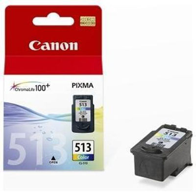 INK+CANON+CLI%2D513+COLORE+ALTA+CAPACITA%27%3Cbr%3E%3Ci%3ECANON%3C%2Fi%3E