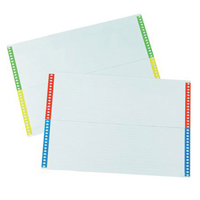 LISTELLI+PER+CARTELLE+SOSPESE+DA+CASSETTO+FG%2E10+DA+25+CARTONCINI%3Cbr%3E%3Ci%3EBERTESI%3C%2Fi%3E