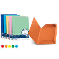 CARTELLINA+ATTI+FAVINI+3+LEMBI+PZ%2E25+ASSORTITE%3Cbr%3E%3Ci%3EFAVINI%3C%2Fi%3E