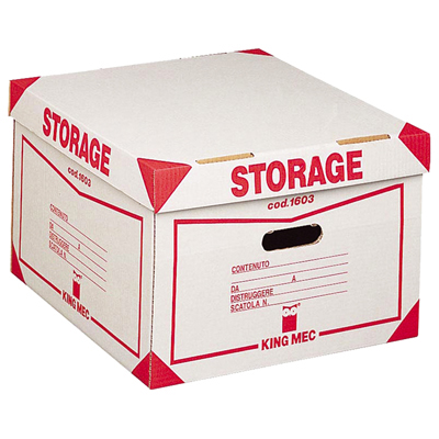 SCATOLA+ARCHIVIO+STORAGE+1603+CONTENITORE%3Cbr%3E%3Ci%3EACCO%3C%2Fi%3E