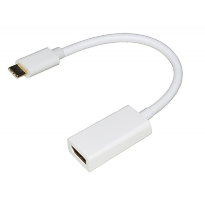 ADATTATORE+USB%2DC+%2F+DISPLAYPORT+FEMMINA%3Cbr%3E%3Ci%3ELINK%3C%2Fi%3E