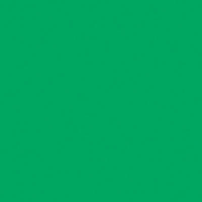 CARTA+REX+LAVABILE+MT%2E5+TINTA+UNITA+VERDE%3Cbr%3E%3Ci%3ESAUL+SADOCH%3C%2Fi%3E