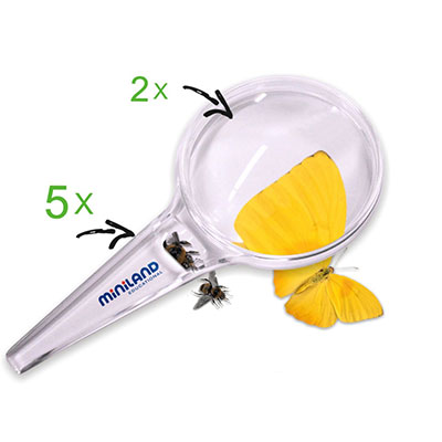 DOPPIA+LENTE%3Cbr%3E%3Ci%3EMINILAND%3C%2Fi%3E