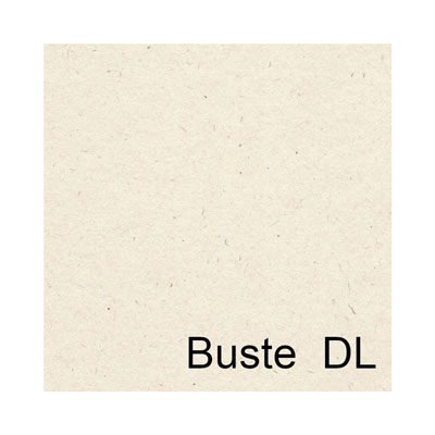 BUSTA+11X22+FLORA+GR%2E130+PZ%2E25+AVORIO%3Cbr%3E%3Ci%3EBAPI%3C%2Fi%3E