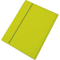 CARTELLINA+35X50+CON+ELASTICO+GIALLO%3Cbr%3E%3Ci%3ECARTOTECNICA+DEL+GARDA%3C%2Fi%3E