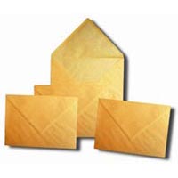 BUSTA+GIALLA+22%2C9X32%2C4%2F100+GIALLO+POSTA+PZ%2E250%3Cbr%3E%3Ci%3EPIGNA%3C%2Fi%3E